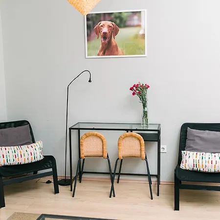 Apartment D.five Vizsla At National Museum