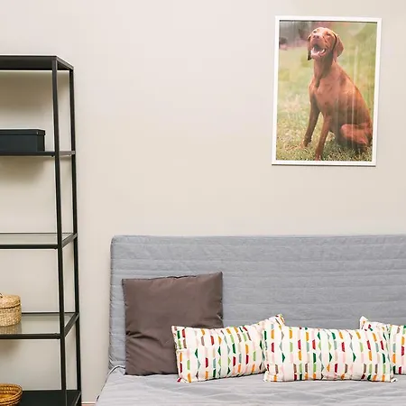 D.five Vizsla At National Museum Apartment