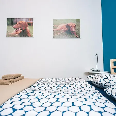 D.five Vizsla At National Museum *